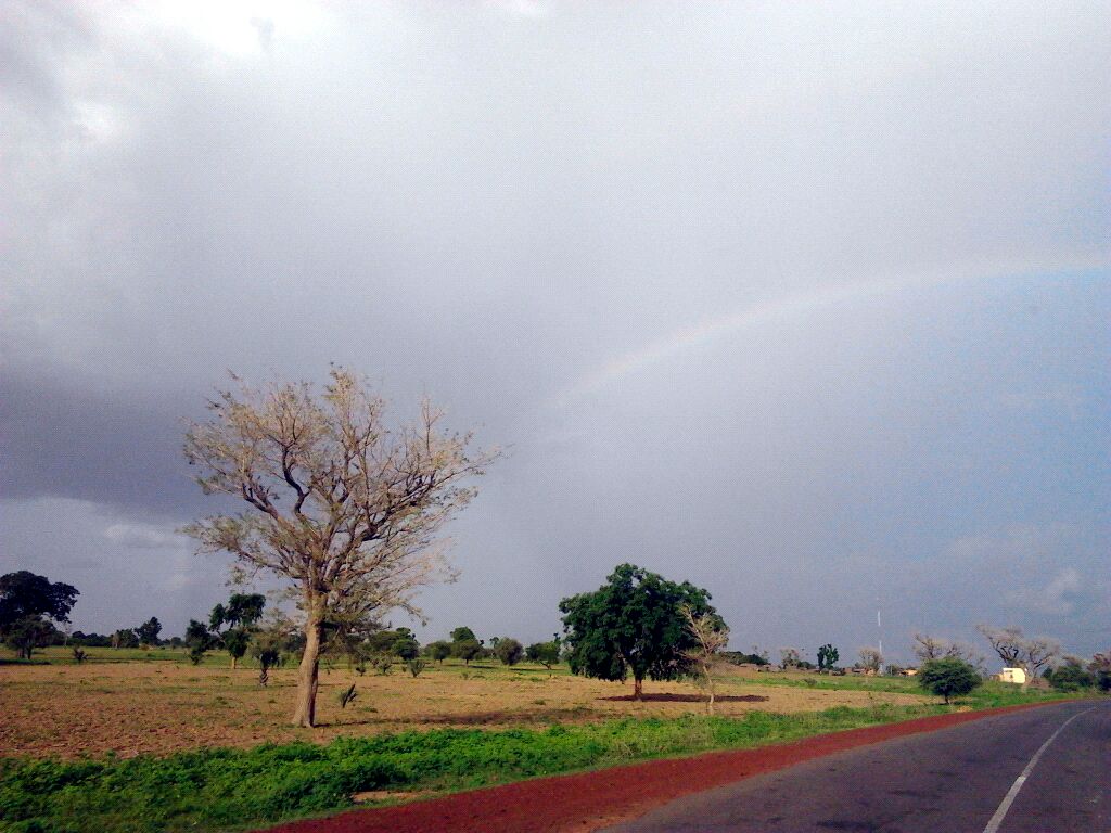 Regenboog