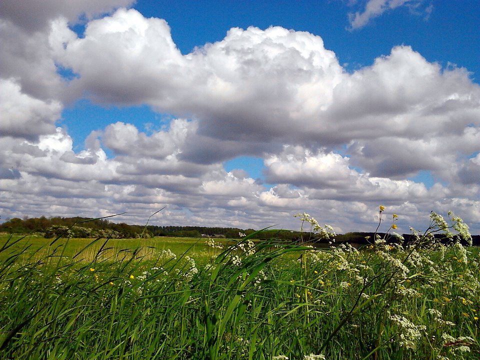 Oer Hollands Wolkendek