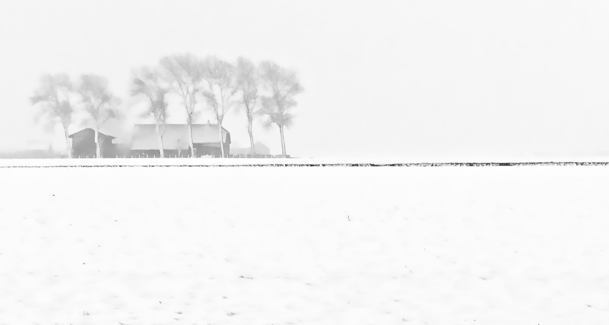 Winter Wonderland